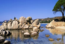 开云体育-FLY险胜C9，Deft送出精彩助攻，电竞战场再燃激情