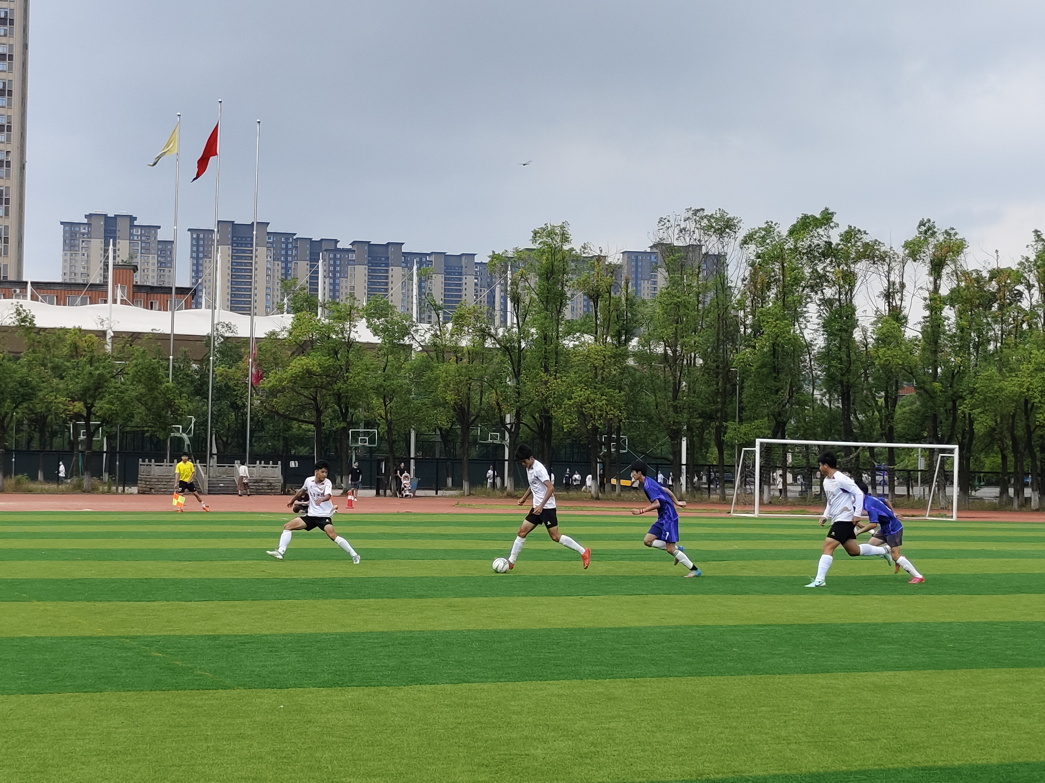 激烈角逐下的惊心动魄，赛场上热血激荡的简单介绍
